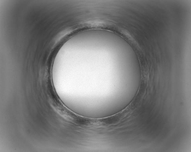 X0000082150583200702021637