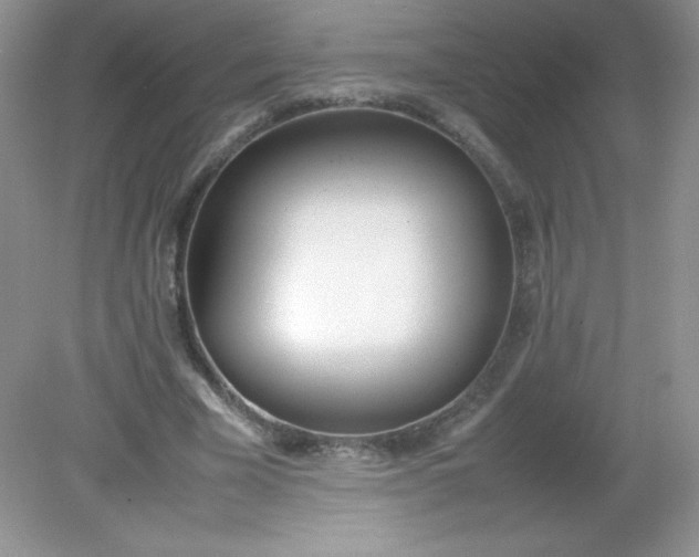 X0000082150585200702021637