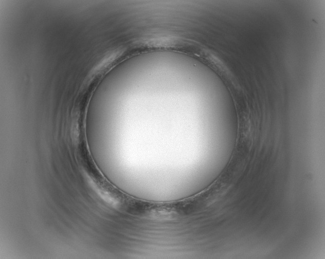 X0000082150586200702021637