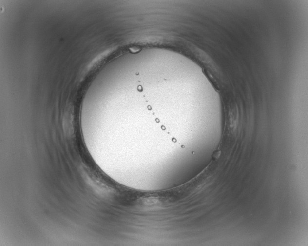 X0000082150588200702021637