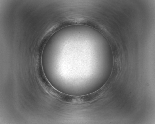 X0000082150591200702021637