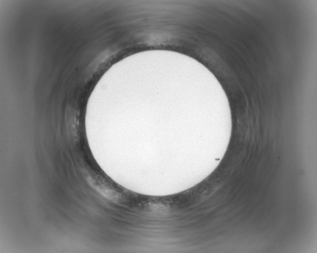 X0000082150592200702021637