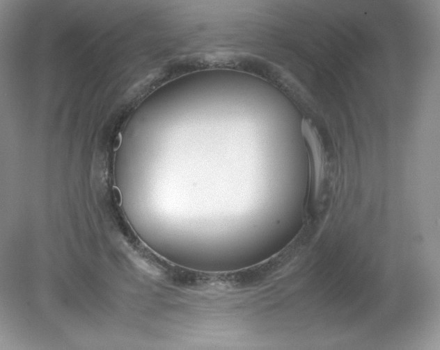 X0000082150593200702021637