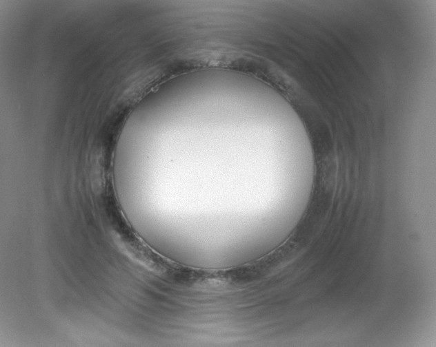 X0000082150594200702021637