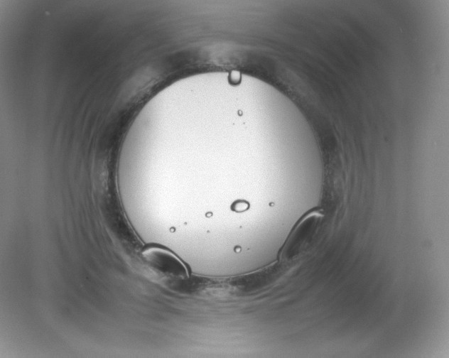 X0000082150595200702021637