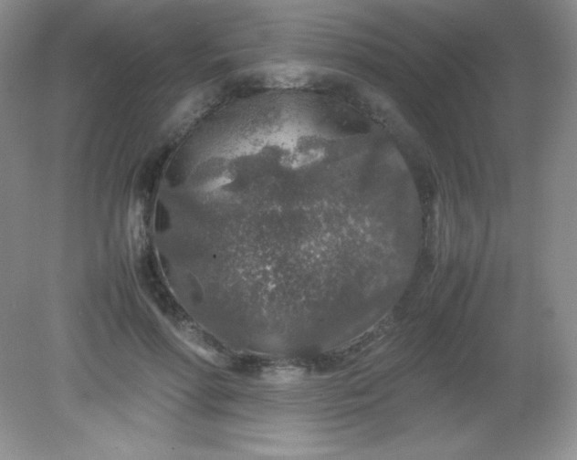 X0000082150598200702021637