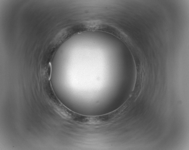 X0000082150601200702021637