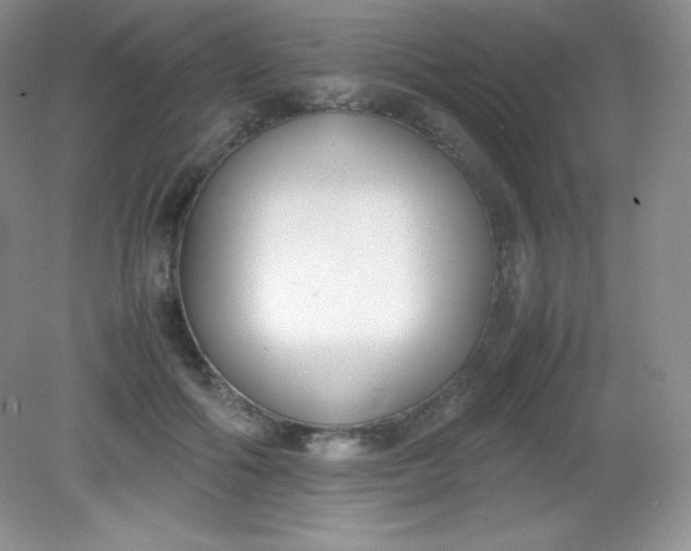 X0000082150602200702021637