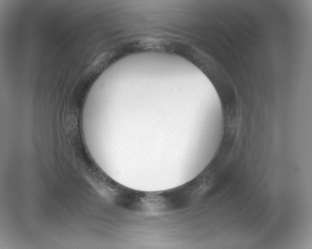 X0000082150603200702021637