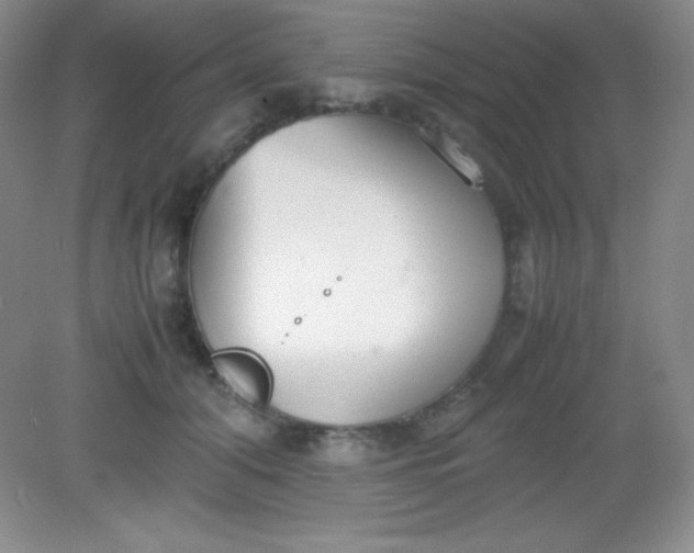 X0000082150608200702021637