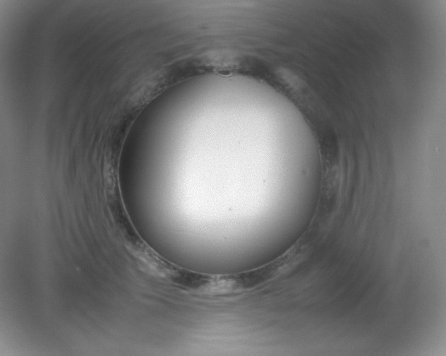 X0000082150609200702021637