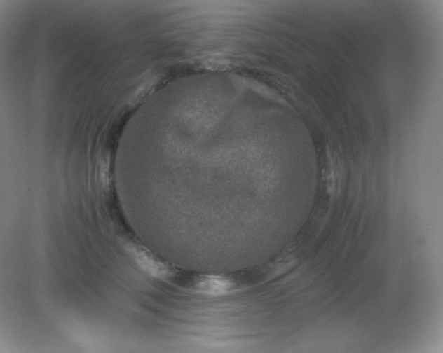 X0000082150610200702021637