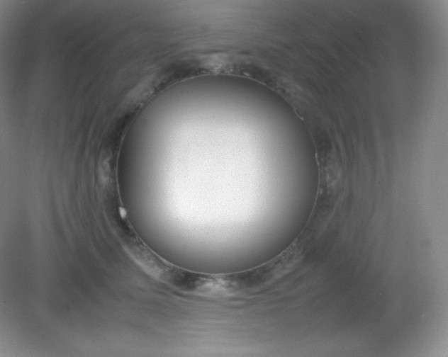 X0000082150611200702021637