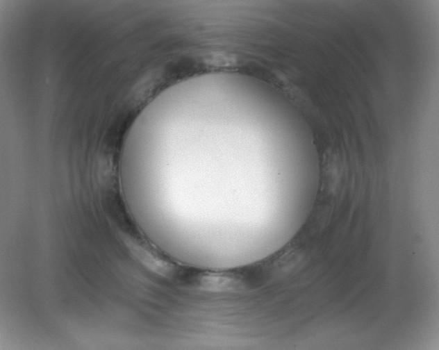 X0000082150614200702021637