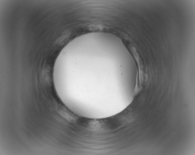 X0000082150616200702021637