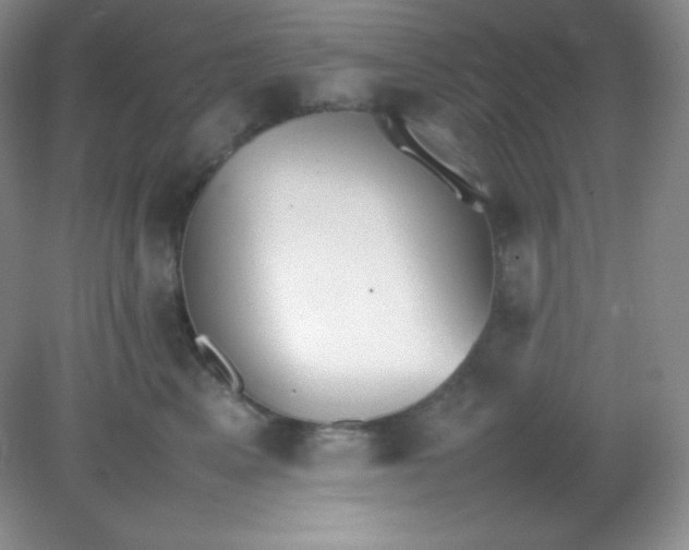X0000082150617200702021636