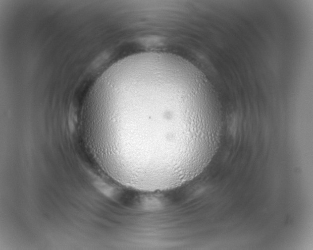 X0000082150618200702021636