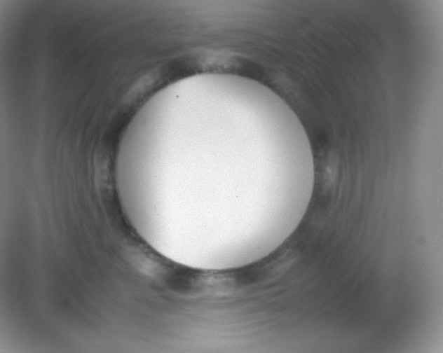 X0000082150619200702021636