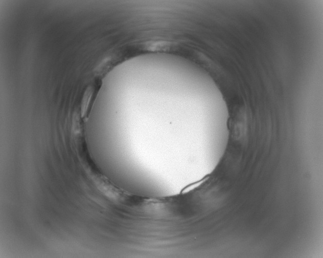 X0000082150620200702021636