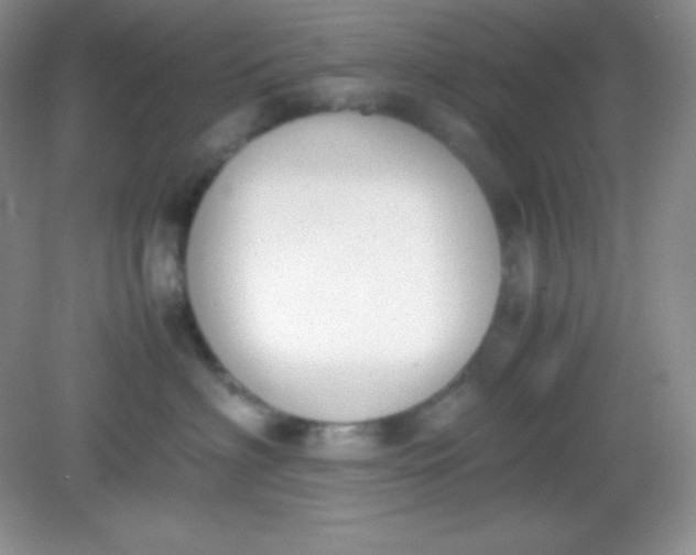 X0000082150622200702021636