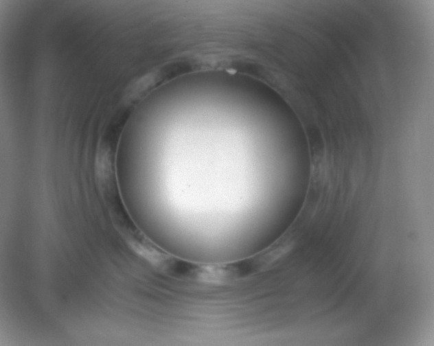 X0000082150623200702021636