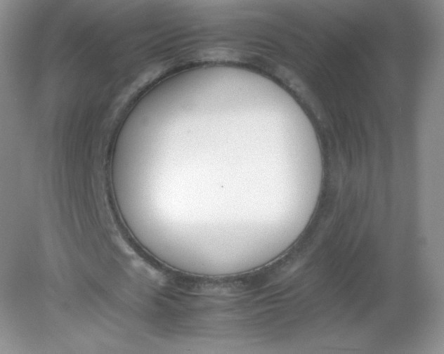 X0000082150625200702021636