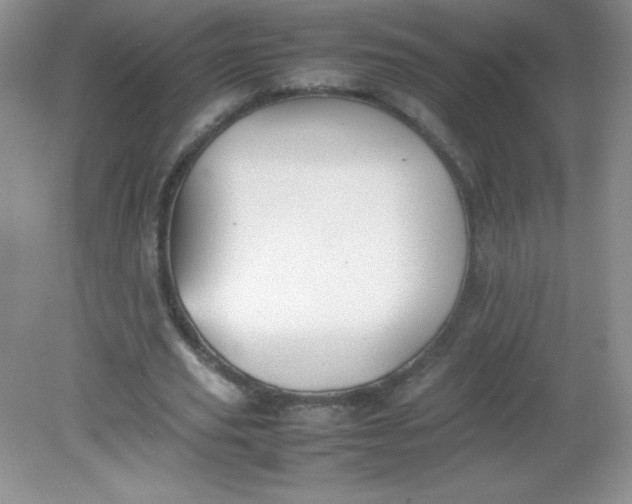 X0000082150629200702021636