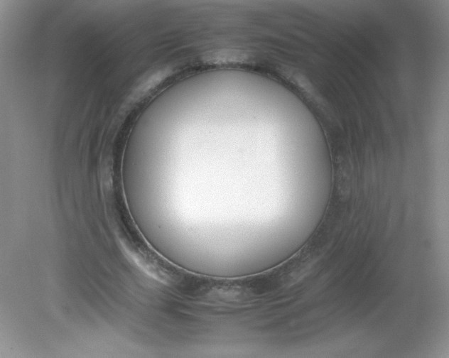 X0000082150631200702021636
