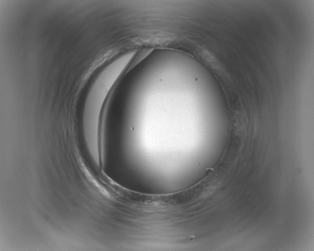 X0000082150634200702021636