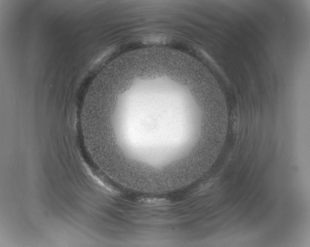 X0000082150637200702021636