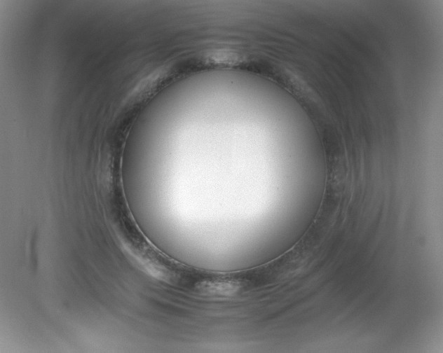 X0000082150639200702021636