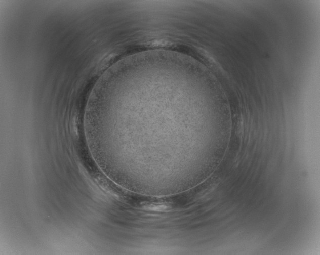 X0000082150643200702021636