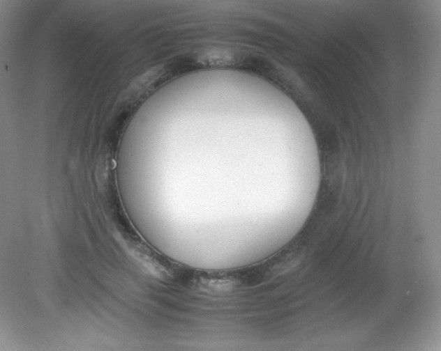 X0000082150645200702021636