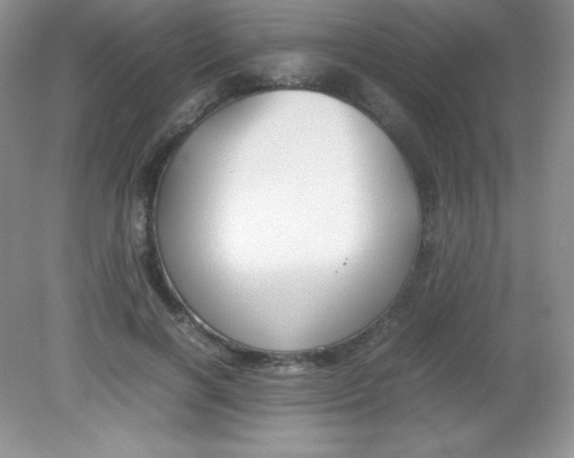 X0000082150646200702021636
