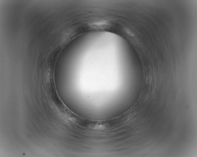 X0000082150647200702021636