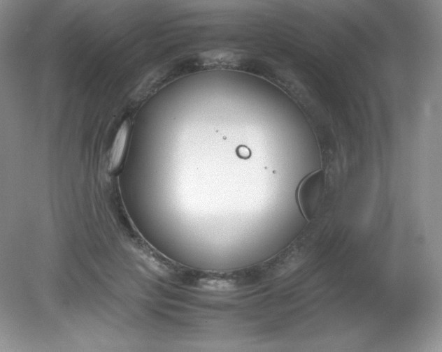 X0000082150649200702021636