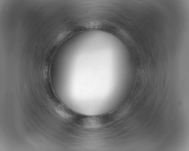 X0000082150652200702021636
