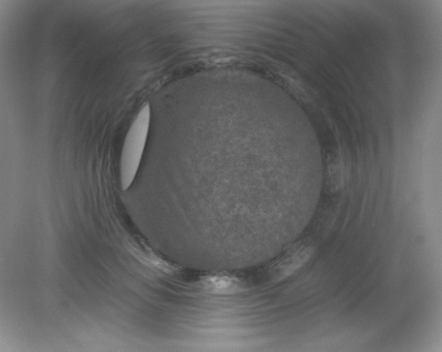 X0000082150654200702021636