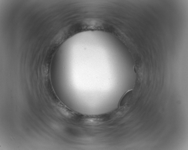 X0000082150657200702021636
