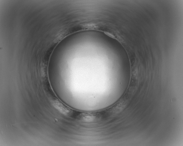 X0000082150658200702021636