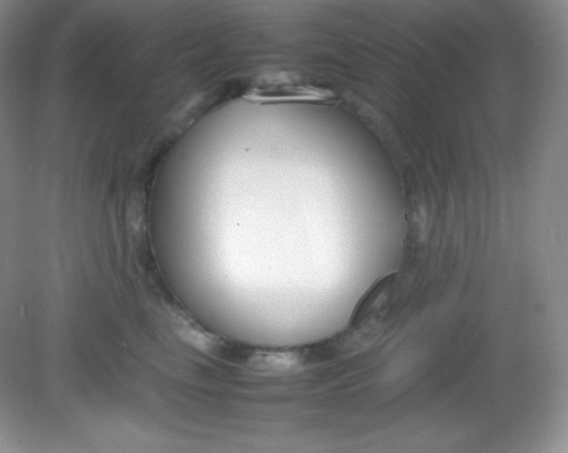 X0000082150665200702021636