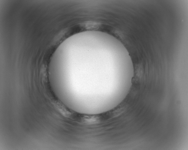 X0000082150667200702021636