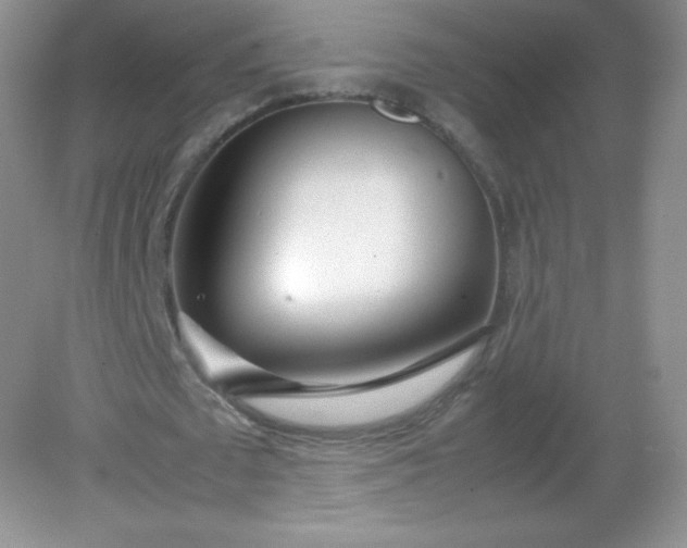 X0000082150673200702021636