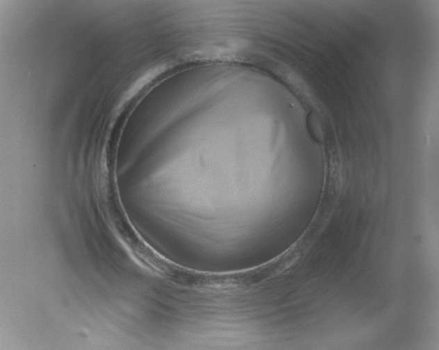 X0000082150674200702021636