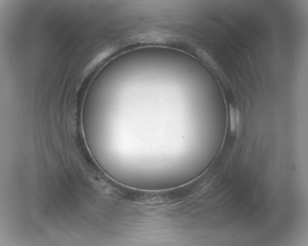X0000082150675200702021636