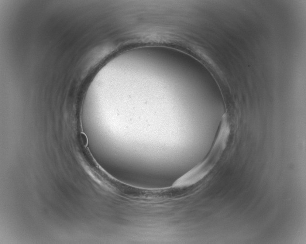 X0000082150677200702021635