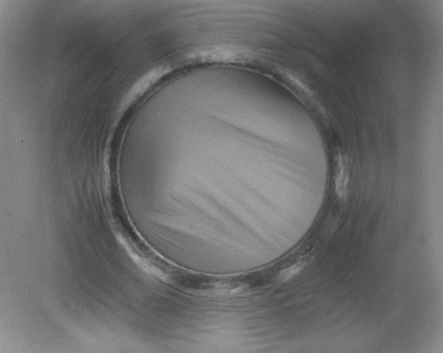 X0000082150678200702021635