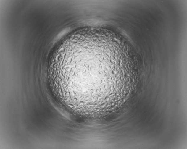 X0000082150679200702021635