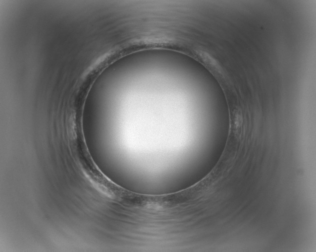 X0000082150684200702021635