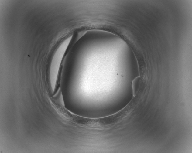 X0000082150685200702021635